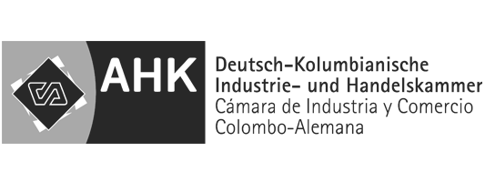 Alianzas-1-GOM-Business-Consulting